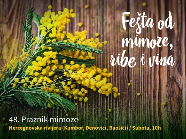 Fešta od mimoze ribe i vina
