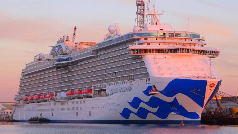 Posebna čast – „Majestic Princess“ prvo posjećuje Kotor