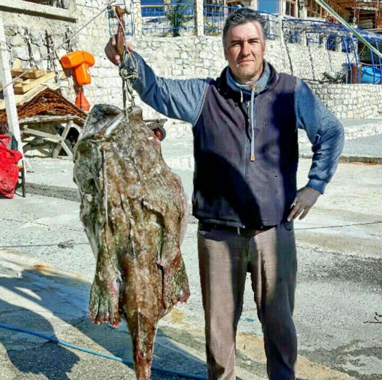 Miliću ulov mjeseca februara