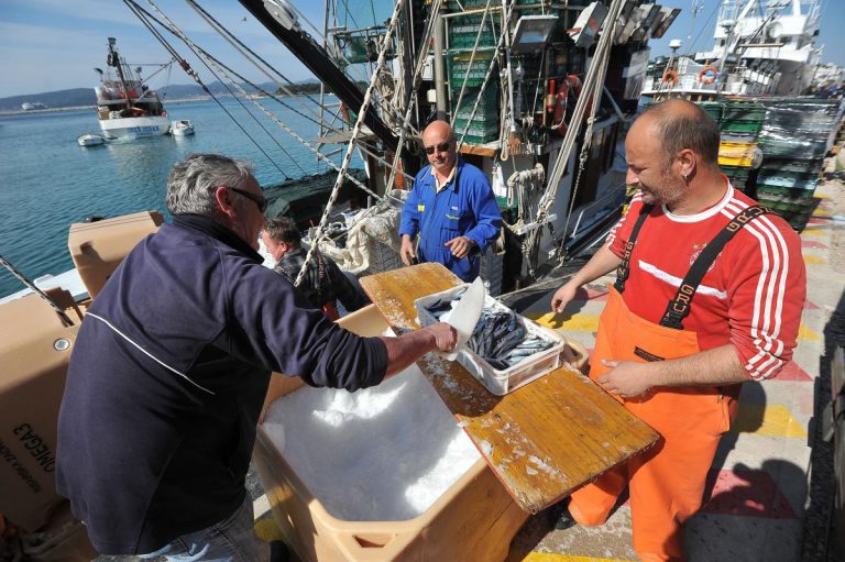 U Mediteranu je čak 93 posto riba preizlovljeno