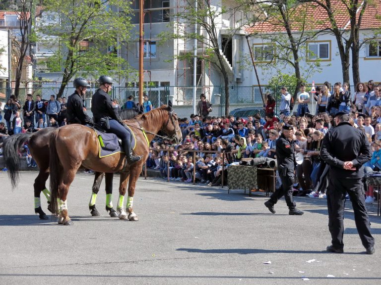 Đacima predstavili konjičku policiju, službene pse  i opremu