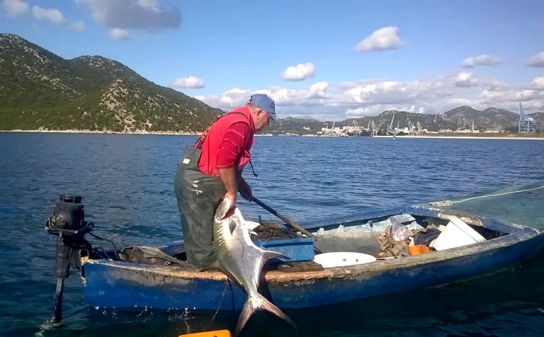 Ploče – Lica od 20 kg pala na živoga cipola