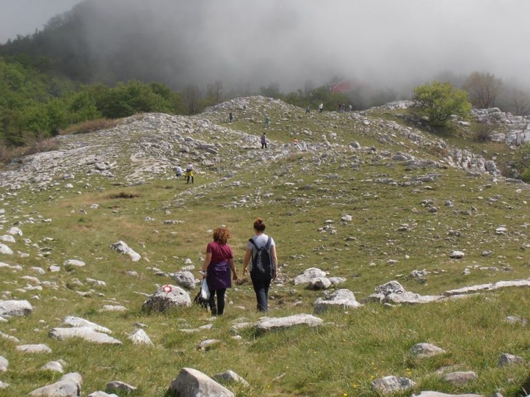 Sakupljali spremali i degustirali samoniklo jestivo bilje Orjena
