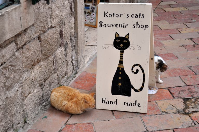 Kotor – najava obustave radova ali…
