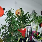 Cvjećara Flora Art