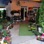Cvjećara Flora Art
