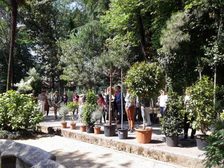 Gradski park obogaćen sa novim sadnicama vrijednim više od dvije hiljade eura