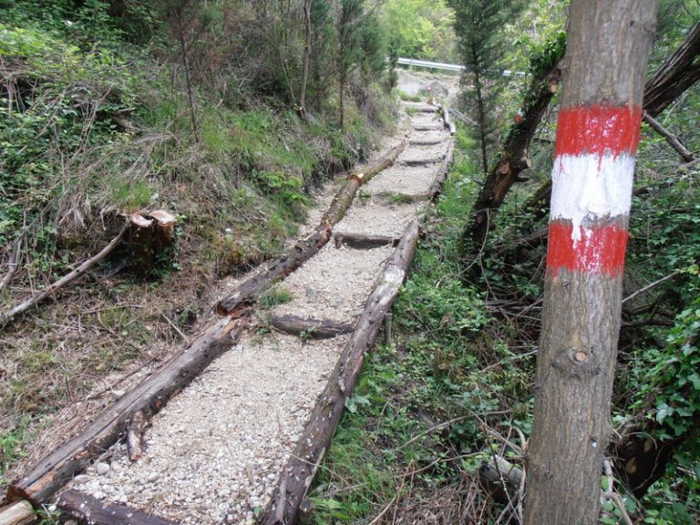 Herceg Novi dobio još jednu markiranu stazu za šetnju: Tatar bašta – Sušćepan