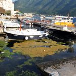 Perast jun 2017. foto Boka News