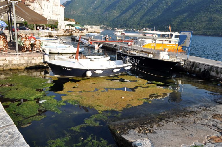 Perast ovih dana – problemi sa parkingom, kako izgleda, što se prodaje…