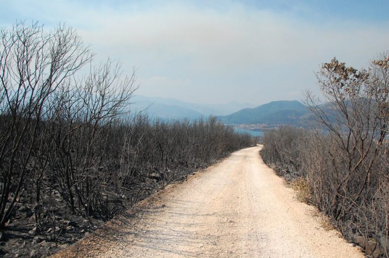 Luštica i Krtoli – prizori nakon požara