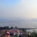 Luštica požar Foto Boka News