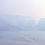 Luštica požar Foto Boka News