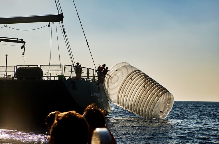 Plastika prijeti migratornim životinjskim vrstama azijsko-pacifičke regije – UN