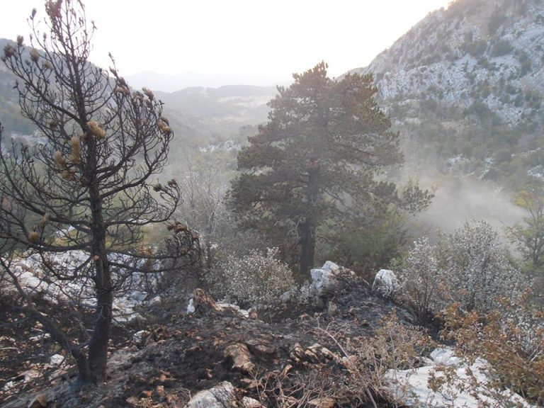 Od petka požar u centralnoj zoni Orjena