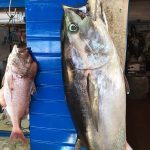 JUL – treće mjesto – Božo Rafailović tuna 47kg