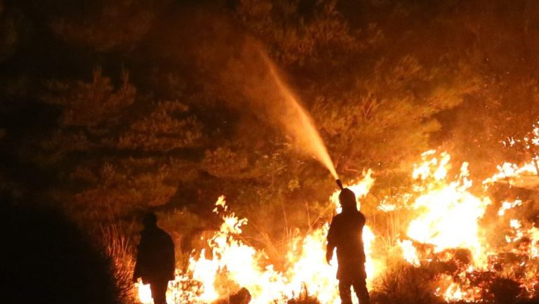 EK: Miris paljevine i pogled na požarišta zovu na očuvanje šuma i pošumljavanje