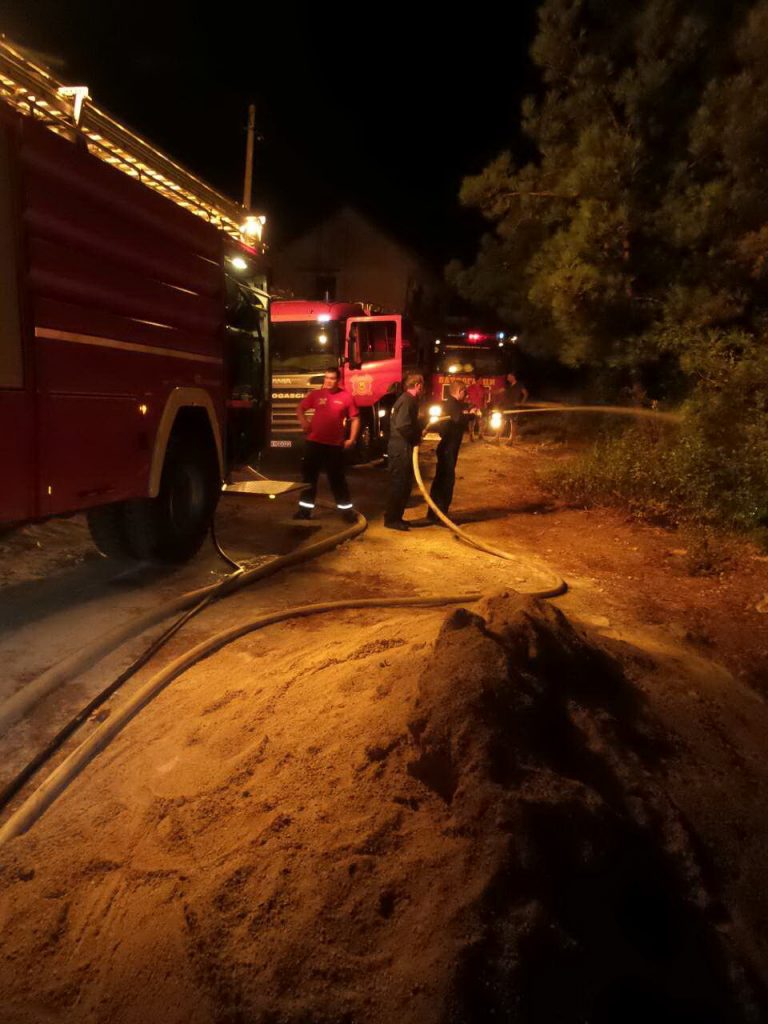 Gorela borova šuma u Gradiošnici