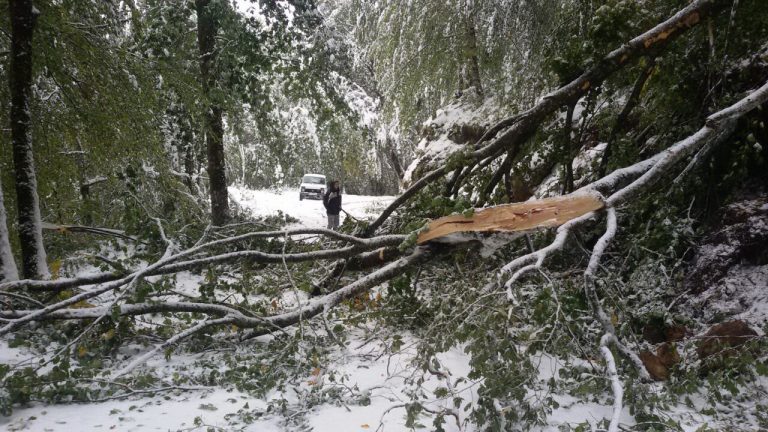 Kapije NP Biogradska gora zatvorene za posjetioce  7 – 8.oktobra