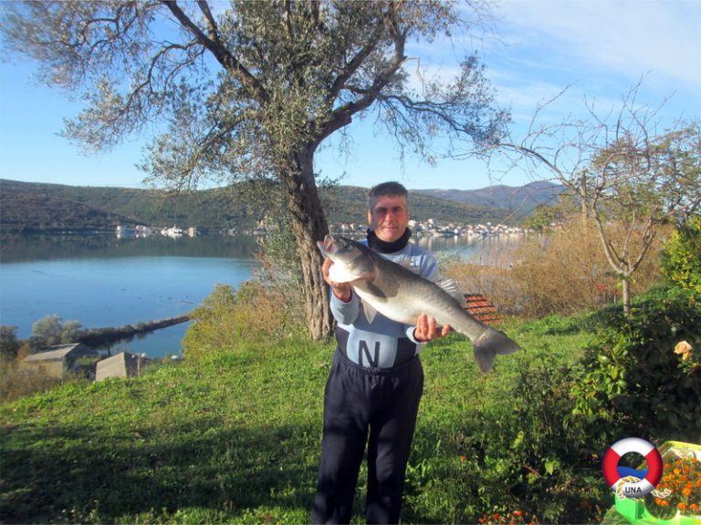 Popoviću „Ulov mjeseca“ za brancina 7,7 kg