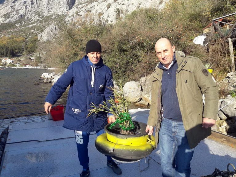 Joksimović i Đerić  “zasadili” oleander u more