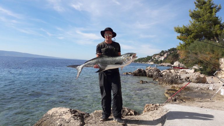 Ulovio licu od 19,5 kg