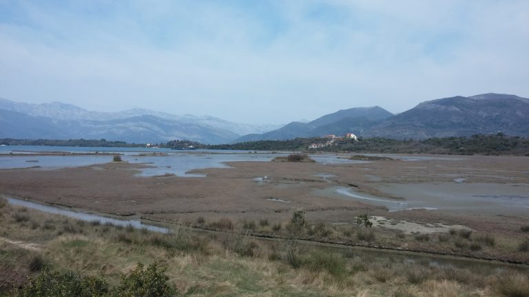 Fokus i dalje stavljaju na Solila