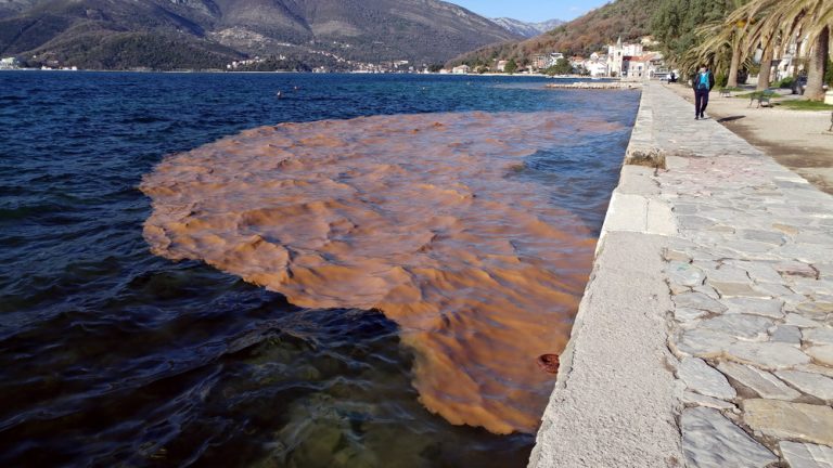 Reakcija Opštine Tivat: Služba za inspekcijske poslove izašla na teren i…