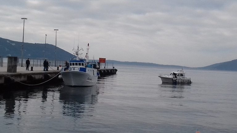 Crnogorske nadležne službe zbrinule migranate