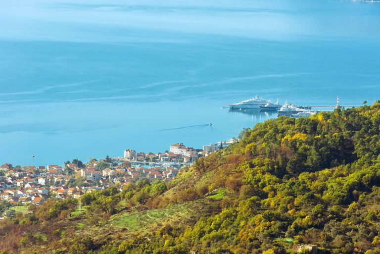 TO Tivat – Akcija pošumljavanja povodom Svjetskog dana turizma