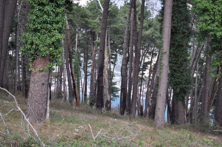 Potraga za izgubljenim ruskim turistima na Vrmcu