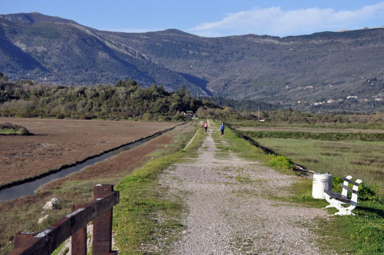 Solila kros 2018.