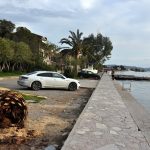 Palme uništene crvenim surlašom