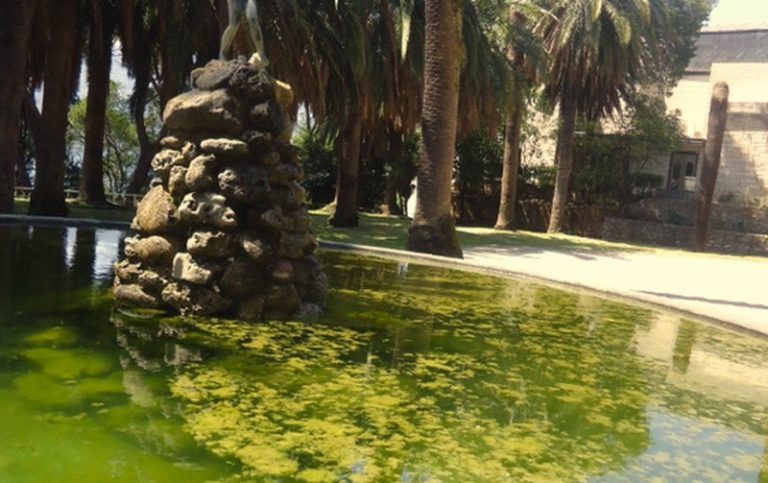 Herceg Novi: Zapuštena fontana u centru grada, prijeti da postane…