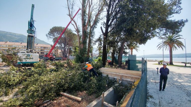 Ponovno sječa u parku nekadašnjeg hotela „Mimoza“ u Tivtu, svi se proglašavaju nenadležnim