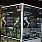 Izložba Svijet terasastih predijel’