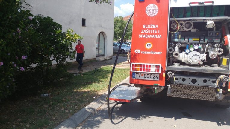 Bačen otrov po ulicama, stradalo više mačaka i pasa