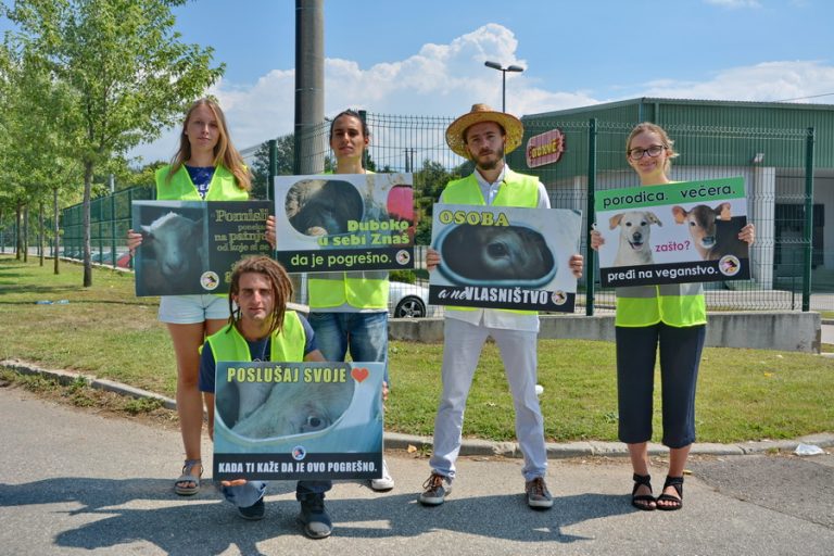 Nikšić – Animal Save ispred klaonice organizovali  bdjenja, akciju koja promoviše veganstvo
