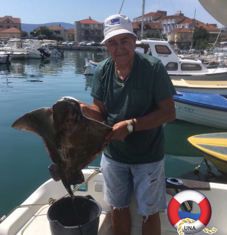 “Ulov mjeseca” za avgust, golub od 11,5 kg