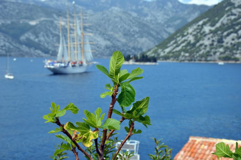 Culture Trip: Crna Gora u društvu svijetskih egzotičnih destinacija