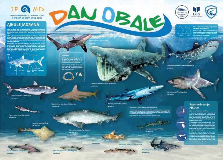 Mediteranski Dan Obale 2018.