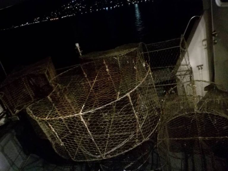Stop krivolovu: Izvađeno 15 vrša i preko 1200m mreže