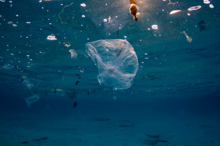 Plastični otpad kao građa za kuće koje je uništio tajfun na Filipinima