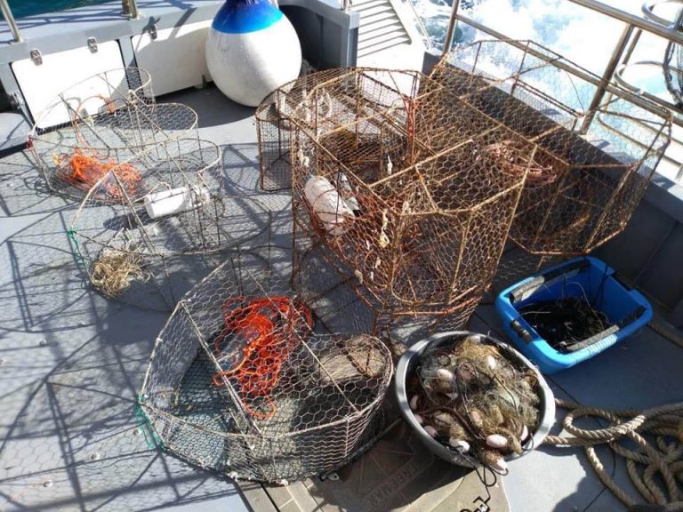 Kod Kumbora i Luštice zaplijenjeni vrše, mreže i parangali