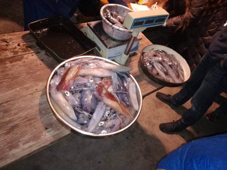 Vodički ribari ulovili preko 16 kilograma liganja na natjecanju Malog porta