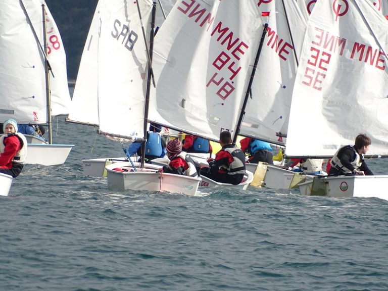 Tradicionalna regata 45. Mimoza kup