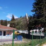 Polomljeni bor kod vrtica u Donjoj Lastvi