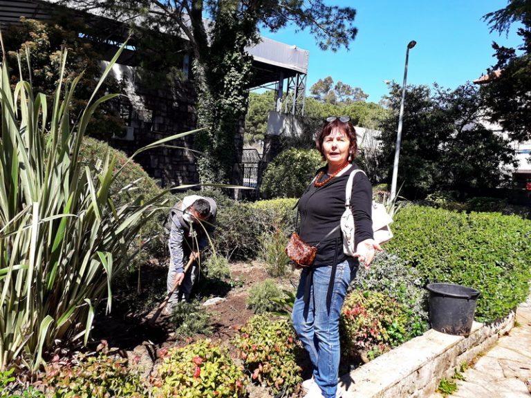 Hortikulturalno uređuju grad – novinar poklonio sadnicu