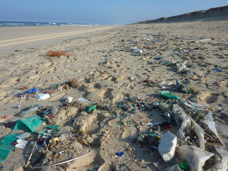 Sedam od deset riba u Jadranu u sebi ima plastiku