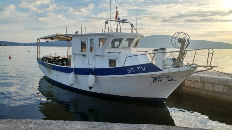 Uspostavljen ribarski informacioni sistem, brodovi dobili AIS, inspekcija pojačala aktivnosti